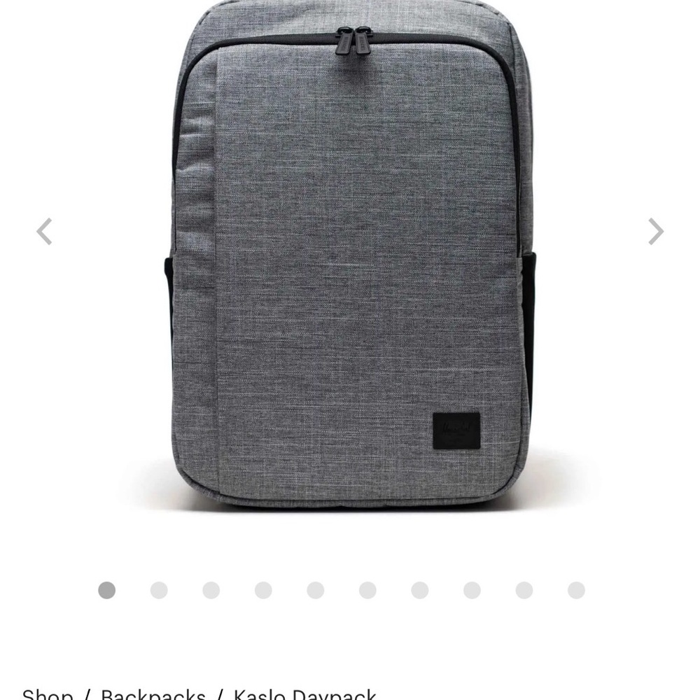 Gray Backpack - image 1